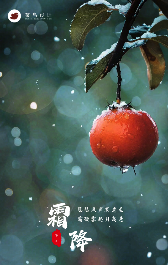 霜降手机海报