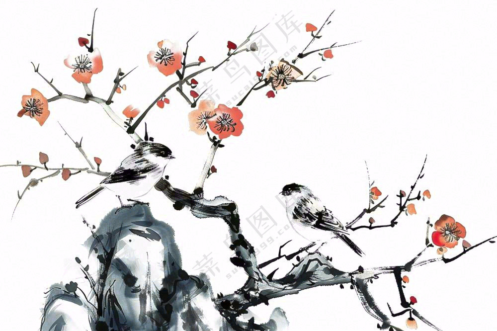 水墨画崖壁上的梅花小鸟古典风山水插画免抠