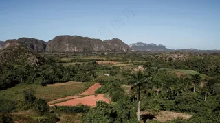 绿意盎然中的宁静田园风光