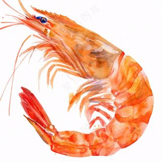 虾基围虾食物海洋卡通插画免抠