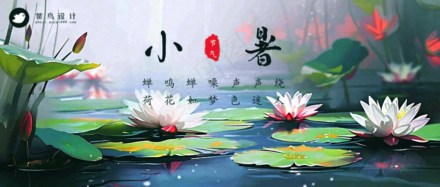 小暑公众号首图