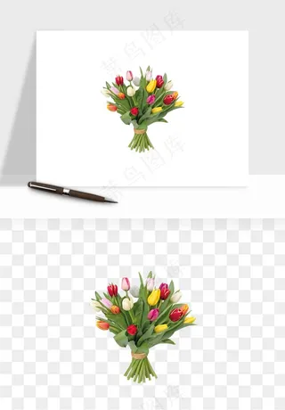 荷兰郁金香鲜花png免抠