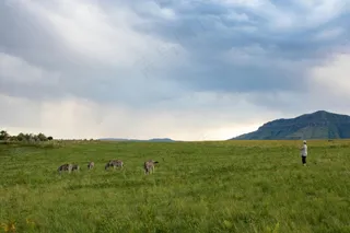 彩虹横跨绿色静美图