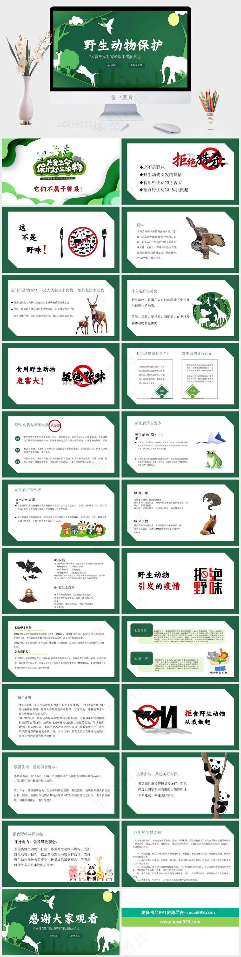 保护野生动物生态环境保护PPT 