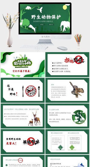 保护野生动物生态环境保护PPT预览图
