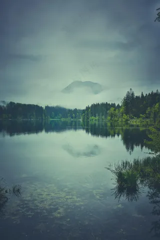 静谧湖光林影·自然风格·灰绿色调·观景佳作