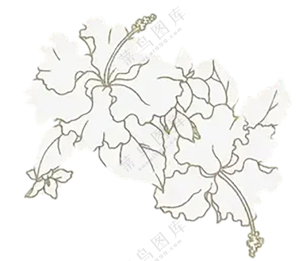 浅黄色描边花朵装饰免扣图