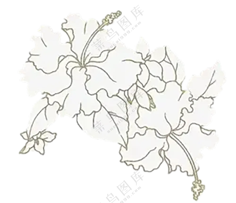 浅黄色描边花朵装饰免扣图