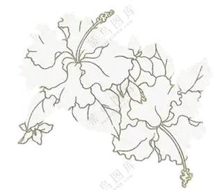 浅黄色描边花朵装饰免扣图