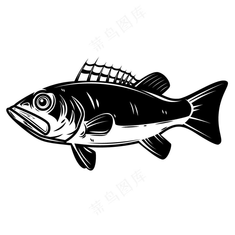 鲈鱼线稿图EPS元素