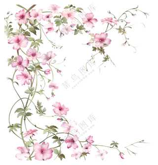 美丽的粉红色花