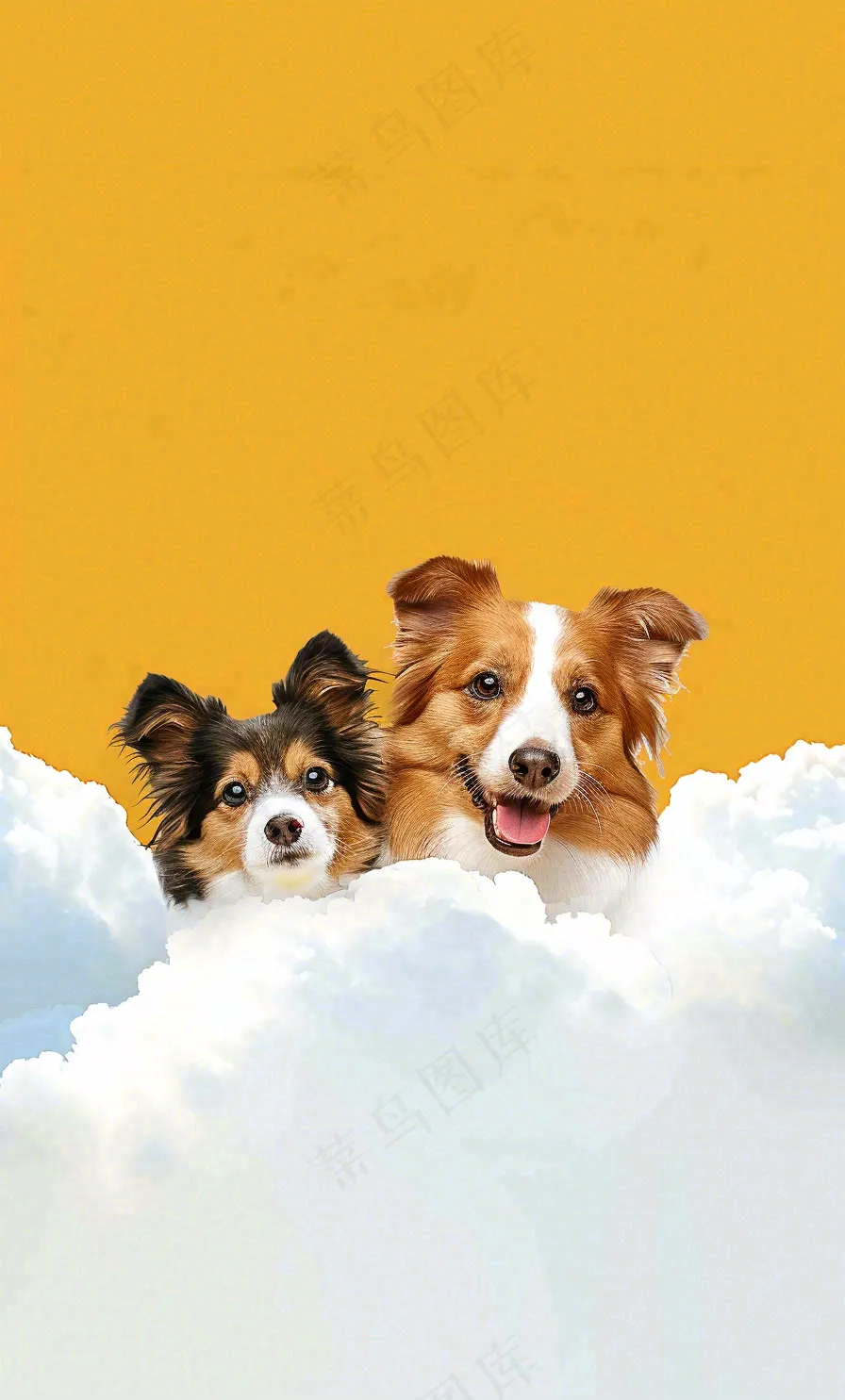 宠物寄养猫狗卡通插画背景
