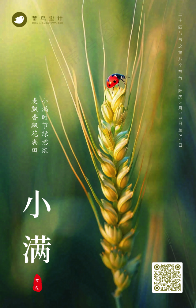 小满手机海报