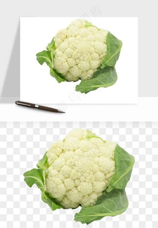花菜椰菜花蔬菜png免抠