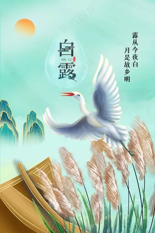 白露节气传统活动海报