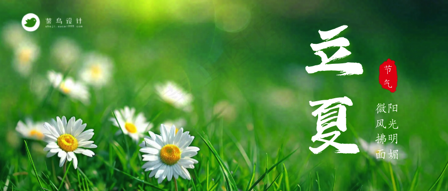 立夏公众号首图