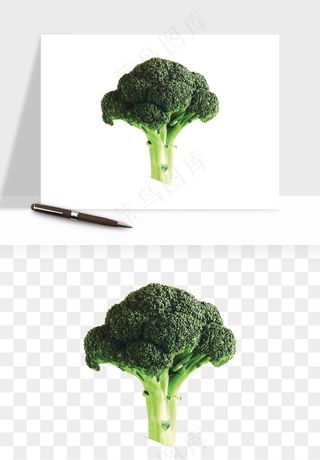 花菜椰菜花蔬菜png免抠