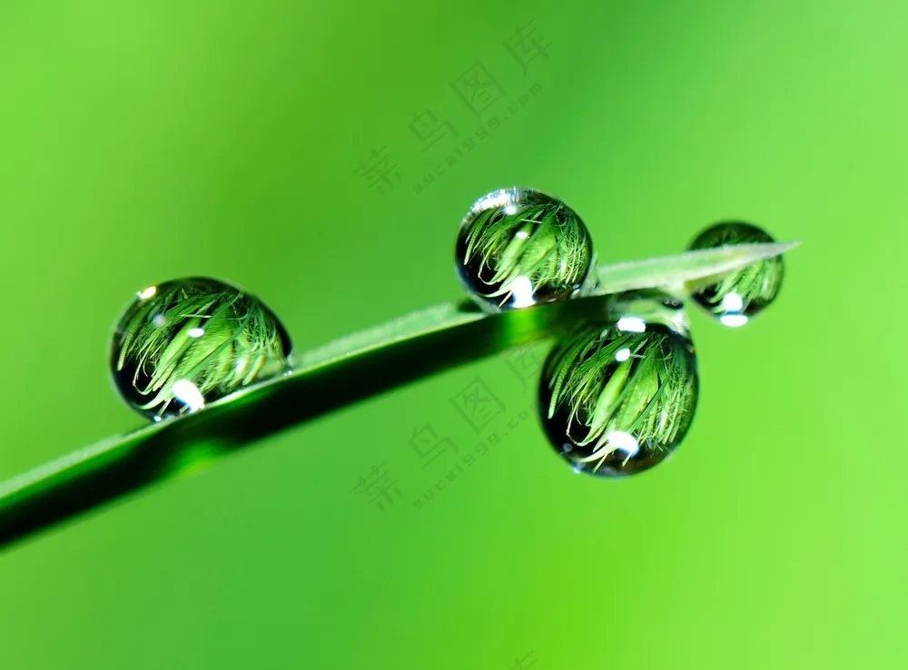 晶莹剔透的水滴