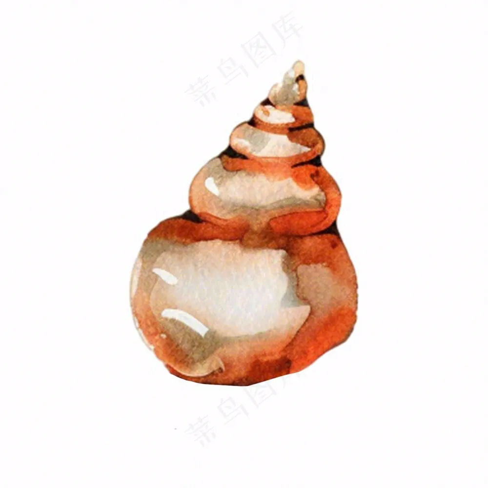 海洋贝壳海螺生物卡通插画免抠