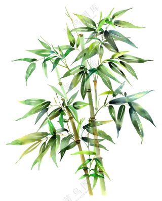 绿色竹子元素