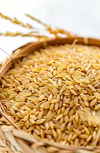 粮食稻谷米饭珍惜粮食丰收世界粮食日摄影图