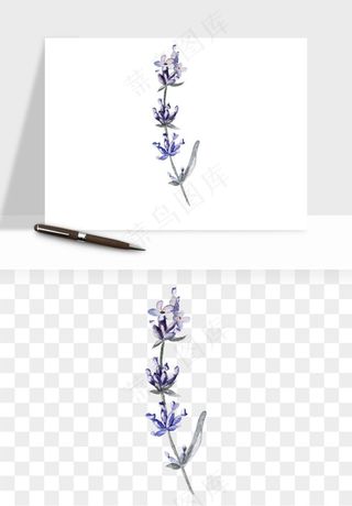 水彩复古植物花卉png免抠