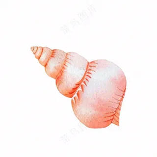 海洋贝壳海螺生物卡通插画免抠