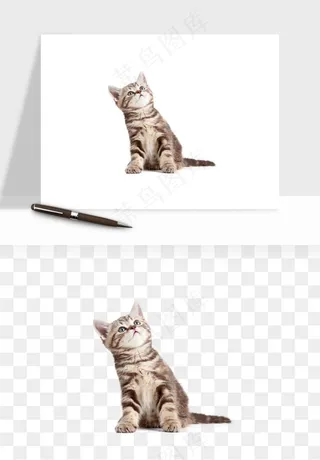 猫咪喵星人狗狗宠物元素png免抠