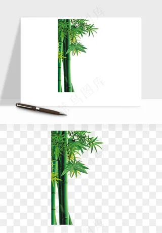手绘竹子竹叶png免抠
