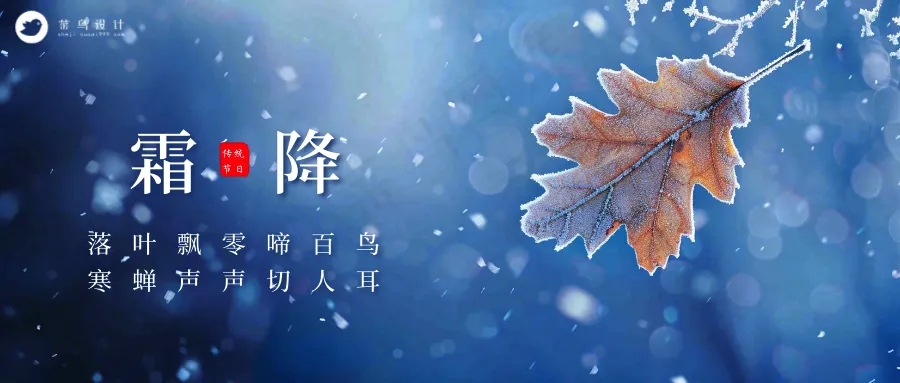 霜降公众号首图