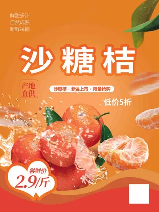 水果沙糖桔宣传海报