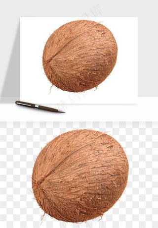 椰子椰果水果png免抠