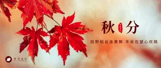 秋分公众号首图