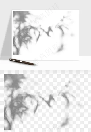 阴影植物窗户投影免抠元素