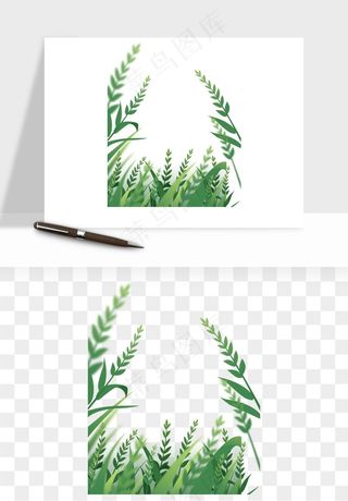 植物花卉边框装饰png免抠