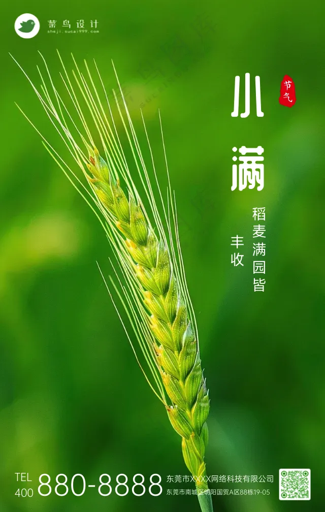 小满手机号海报