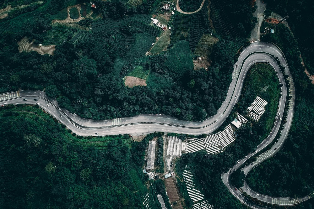 绿意盎然中的公路画卷