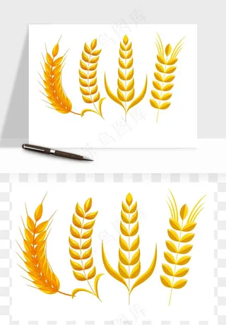 手绘麦穗稻穗麦秆矢量png免抠