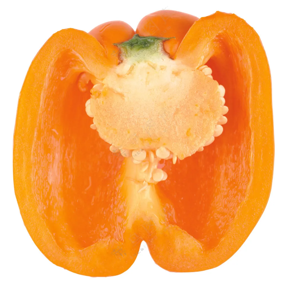 蔬菜切面图片 (10)