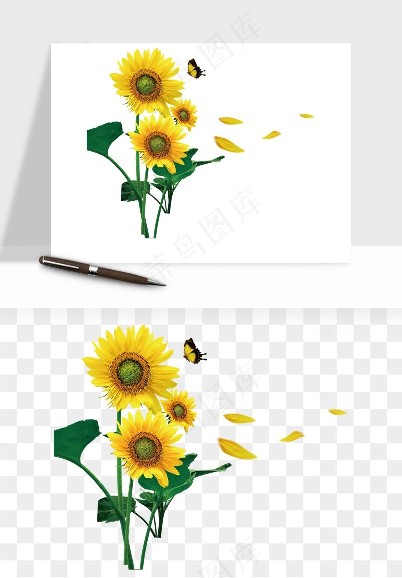 向日葵太阳花卉png免抠