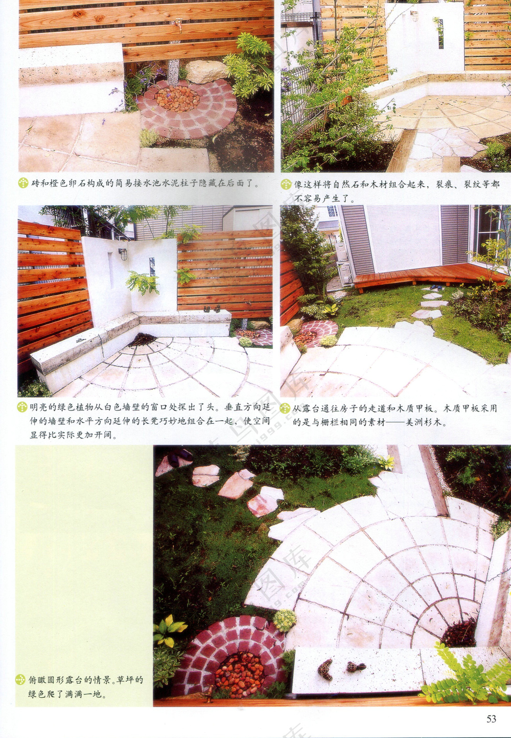 自然石与树木的绝妙组合