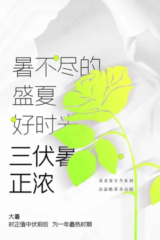 简约三伏天节气海报