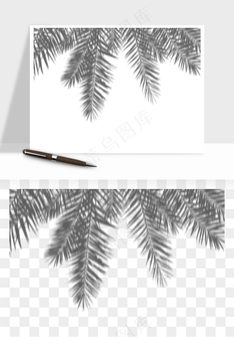 阴影植物窗户投影免抠元素