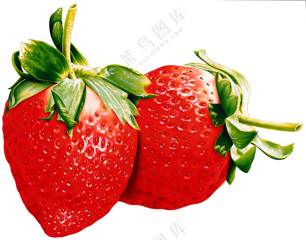 水果草莓图片素材 (4)