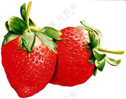 水果草莓图片素材 (4) 水果草莓图片素材 (4)