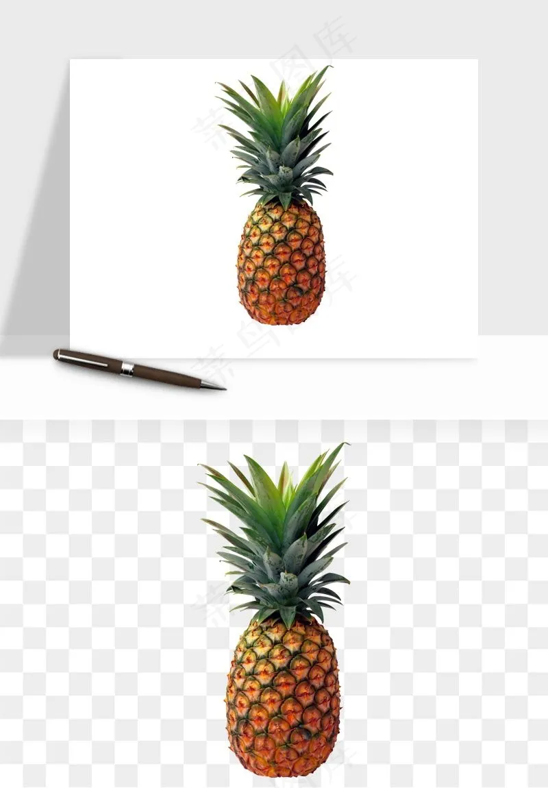 菠萝水果png免抠