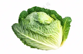 青菜蔬菜包菜免抠