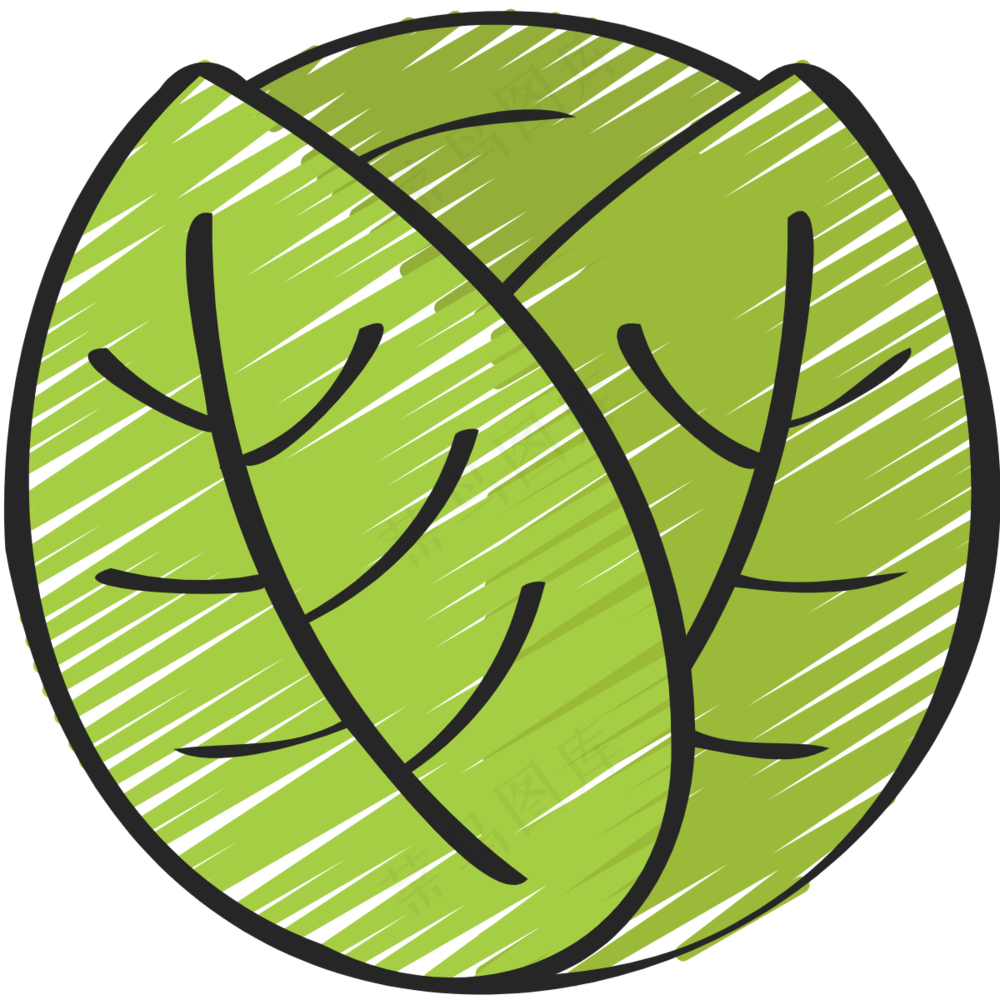 甘蓝 绿色健康食品 铅笔手绘图标 icon