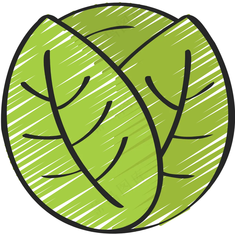 甘蓝 绿色健康食品 铅笔手绘图标 icon