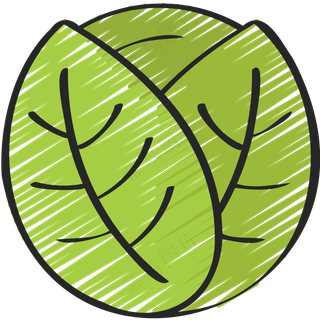 甘蓝 绿色健康食品 铅笔手绘图标 icon